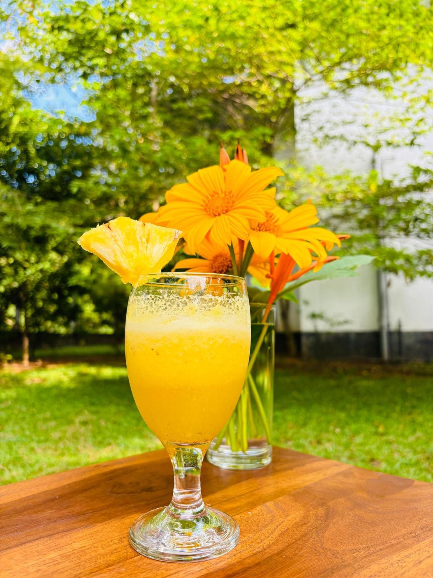 Forest Dew Udawalawa Udawalawe Zewnętrze zdjęcie